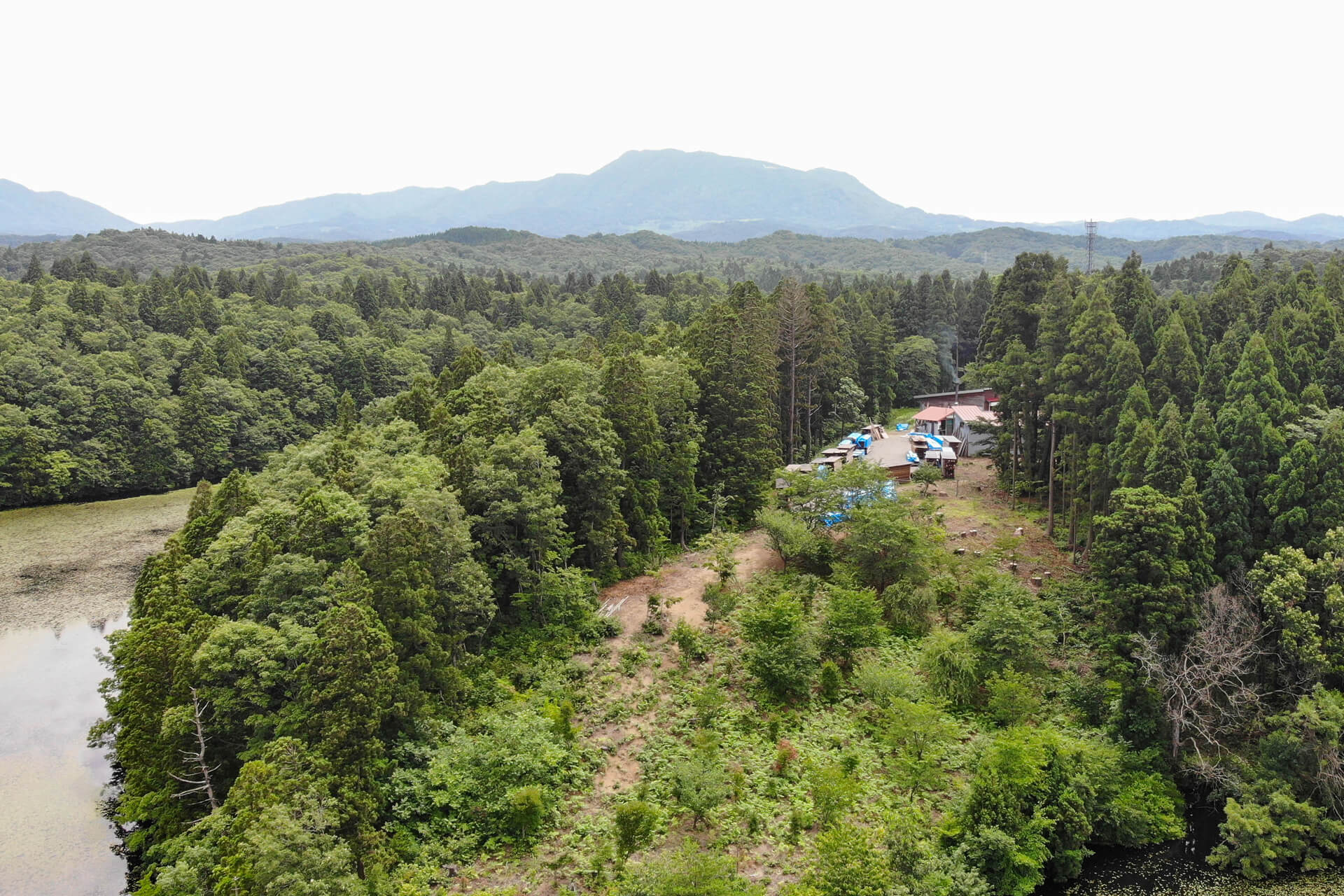 「木の家」を建てる前に知ってほしい 木のコト。森のコト。 すべては、私たちの未来と環境のために。