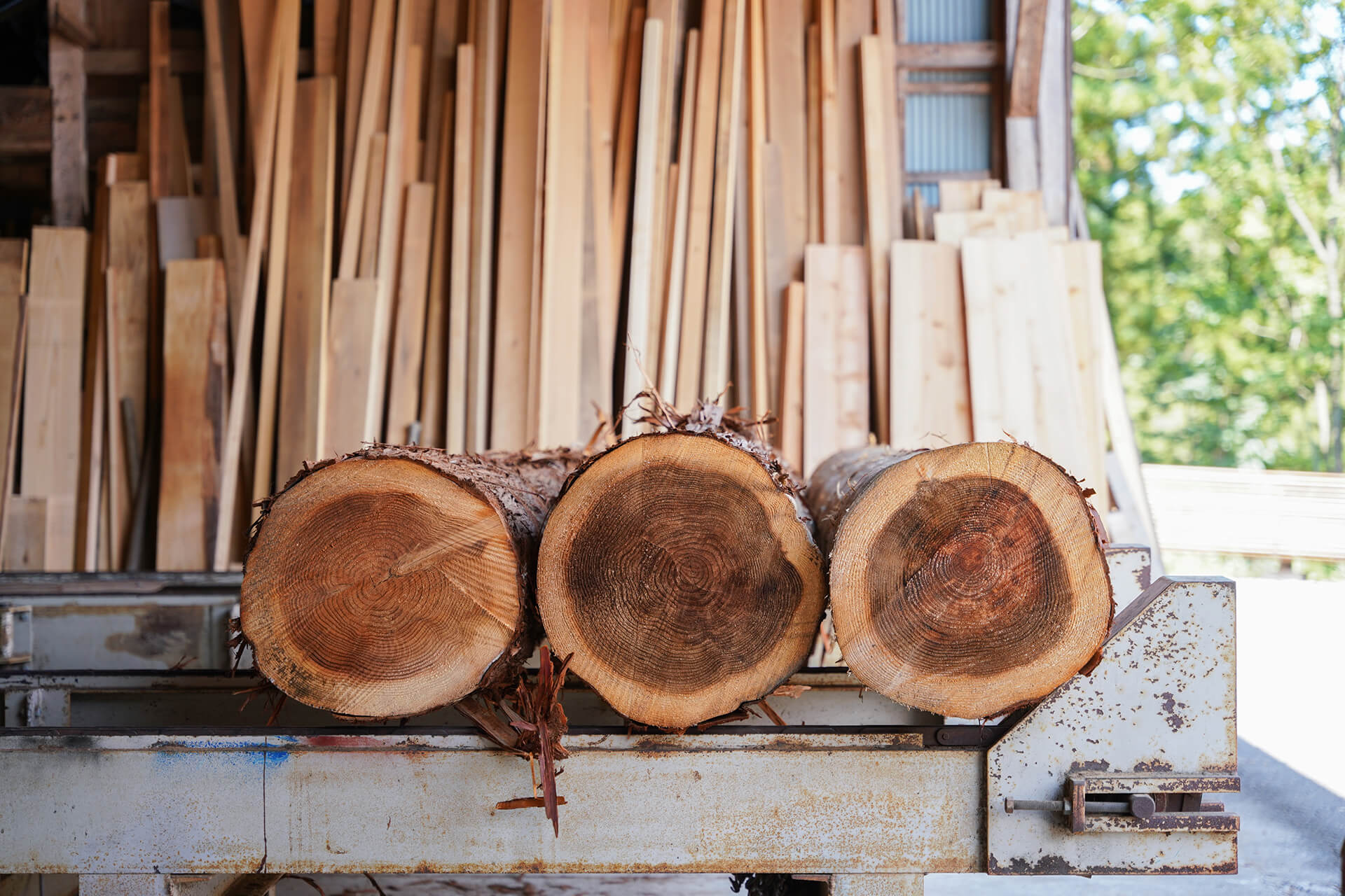 木の家づくりは、製材所見学から始めた方が良い理由